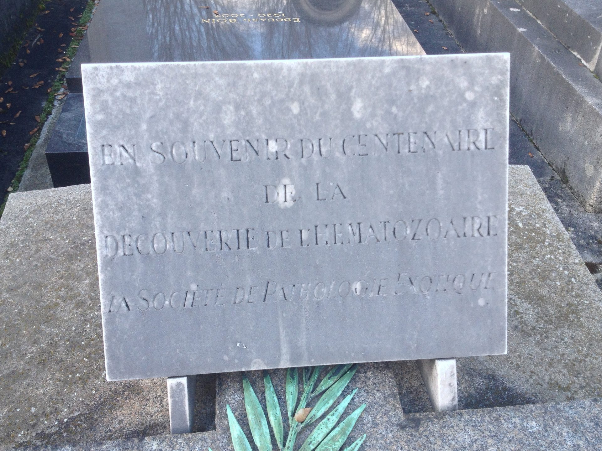 Charles Louis Alphonse Laveran's tomb (5)(1).JPG